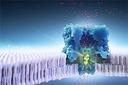 Mit Nanoporentechnologie Krankheiten aufspüren