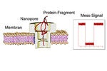 Nanoporentechnologie für die molekulare Diagnostik der Zukunft