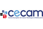 CECAM workshop