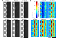 CO2 nutzbar machen – hochauflösende Neutronenaufnahmen zeigen Verbesserungspotential der CO2-Elektrolyse auf CO2 nutzbar machen – hochauflösende Neutronenaufnahmen zeigen Verbesserungspotential der CO2-Elektrolyse auf