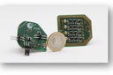 Brain phantom for epilepsy treatment Brain phantom for epilepsy treatment