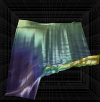 Function follows Form in Neuronal Networks Function follows Form in Neuronal Networks