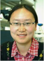 Micro-optics receives the 2013 Rudolf Kingslake Medal