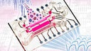 New organ-on-chip system enables precise monitoring of 3D tumour tissue outside the body New organ-on-chip system enables precise monitoring of 3D tumour tissue outside the body