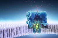 Next steps for nanopore technology Next steps for nanopore technology