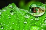 Sustainable Systems Engineering Sustainable Systems Engineering