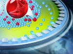 Thousands of Droplets for Diagnostics Thousands of Droplets for Diagnostics