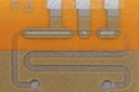 Using Gene Scissors to Detect Diseases Using Gene Scissors to Detect Diseases