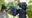Using Light to Determine the Ripeness of Grapes