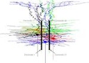Winner of the Hojjat Adeli Award for Outstanding Contributions in Neural Systems Winner of the Hojjat Adeli Award for Outstanding Contributions in Neural Systems